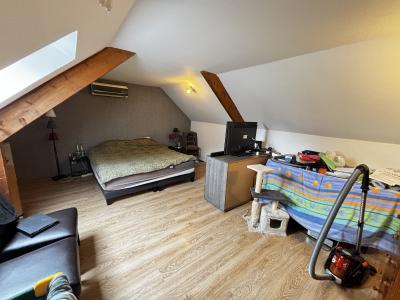 Lovely House with Pool and Large Garden