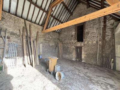 Large Renovation Project with Potential