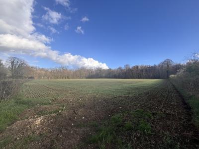 Three Building Plots of Land