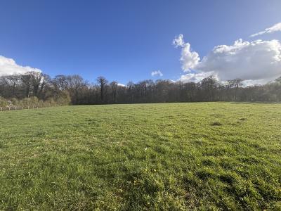 Three Building Plots of Land