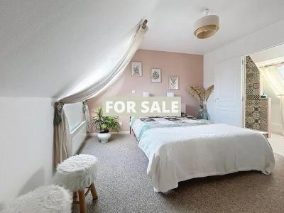 Contemporary Detached House