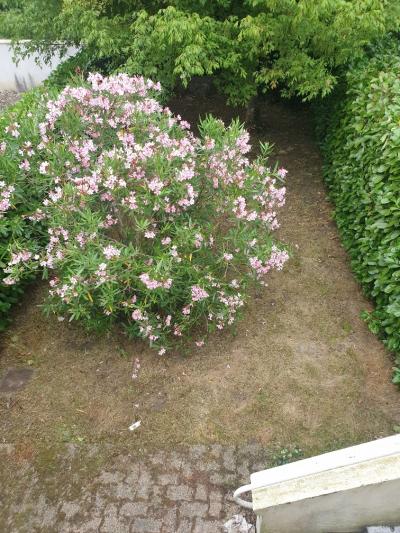 Property For Sale