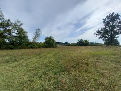Agricultural land of 2.1 Hectares