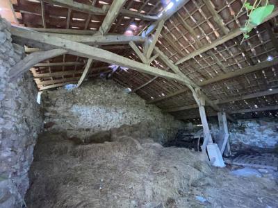 Agricultural land of 2.1 Hectares