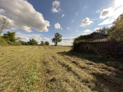 Agricultural land of 2.1 Hectares