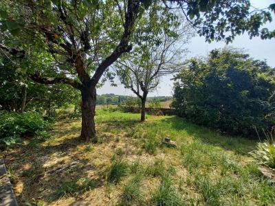 Village House with Conservatory and Lovely Garden