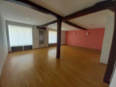Village House with Conservatory and Lovely Garden
