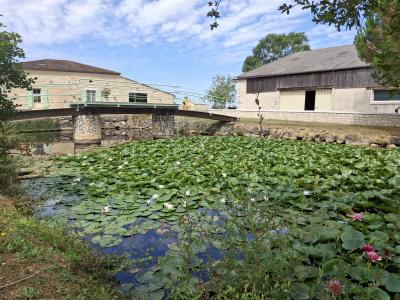 Detached Country House in 7 Hectares with Pond