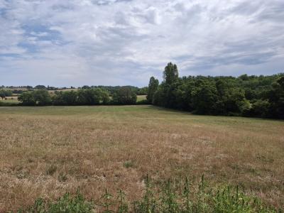 Detached Country House in 7 Hectares with Pond