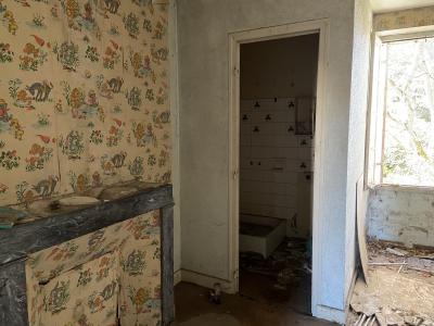 Large Property to Renovate