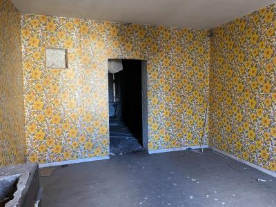 Large Property to Renovate