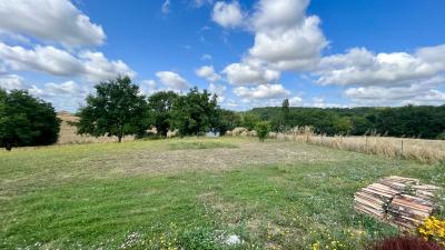 Property For Sale