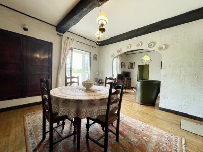 Lovely House with Swimming Pool in Beautiful Garden