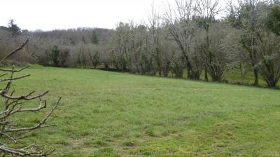 Detached Country House with Swimming Pool and Landscaped Garden