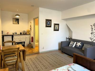 Two Apartments in Lovely Town