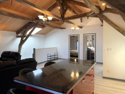 Two Apartments in Lovely Town