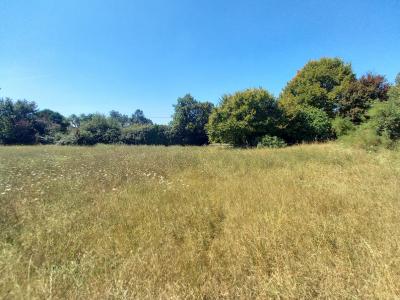 Habitable House to Improve, Great Location