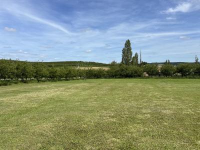 Detached Country House with Long Driveway and Open Views