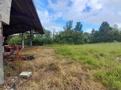 Barn to Renovate and Develop with CU in Place