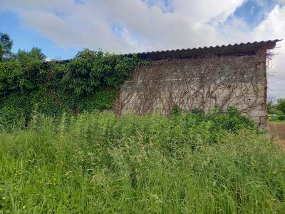 Barn to Renovate and Develop with CU in Place