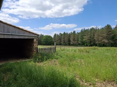 Beautiful Detached Country House with Outbuildings