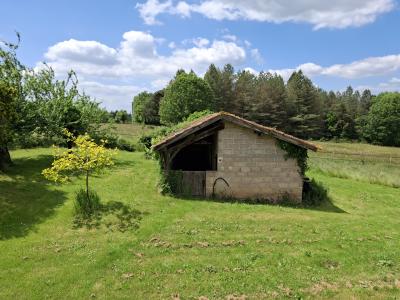 Beautiful Detached Country House with Outbuildings