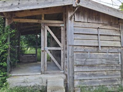 Beautiful Detached Country House with Outbuildings