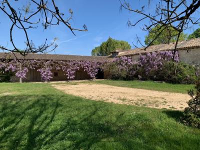 Stunning 18th Century Manor House in 30 Hectares