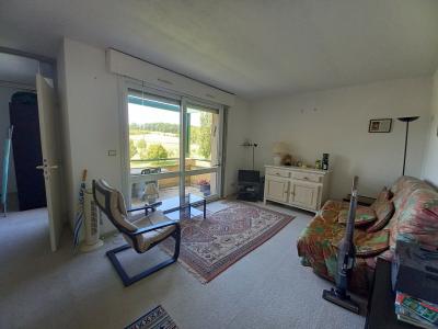 Property For Sale