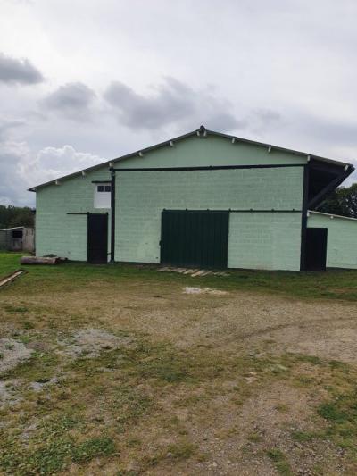 Detached Country House with Outbuilding