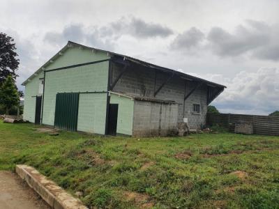 Detached Country House with Outbuilding