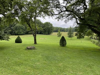 Detached Manor House with Pool and Land