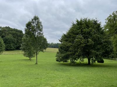 Detached Manor House with Pool and Land