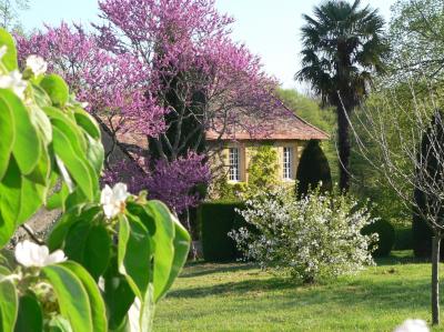 Detached Manor House with Pool and Land