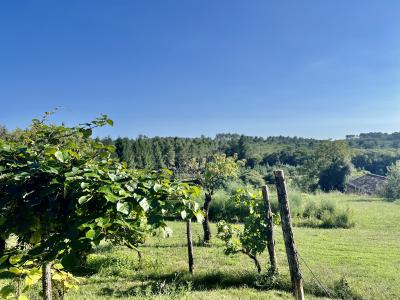 Stone House with Garden and Open View