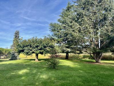 Manor House with Outbuildings in Four Hectares