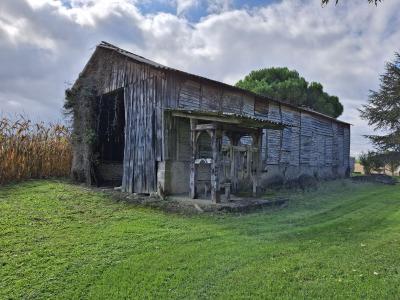 Manor House with Outbuildings in Four Hectares