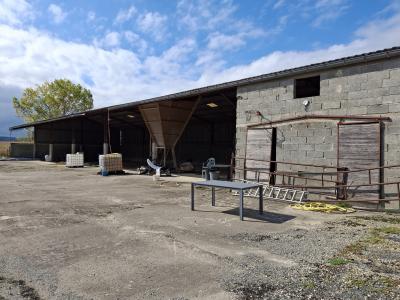 Manor House with Outbuildings in Four Hectares