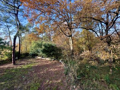 Fantastic Detached Chalet in Mature Grounds