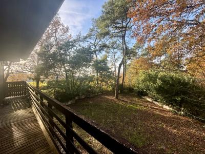 Fantastic Detached Chalet in Mature Grounds