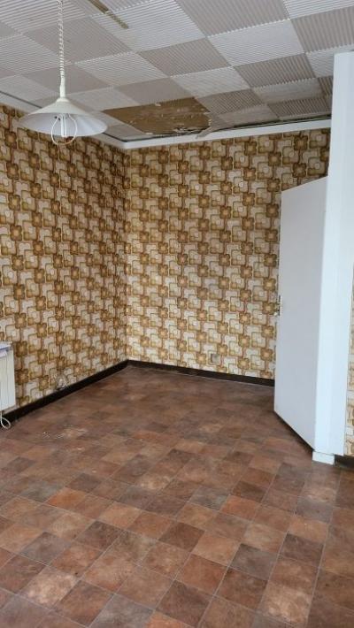 Huge Habitable Property with Lots of Potential