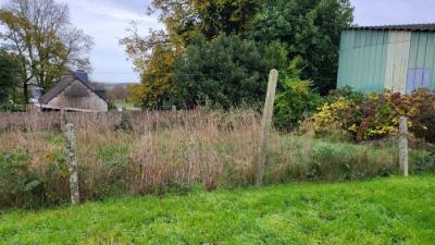 Huge Habitable Property with Lots of Potential