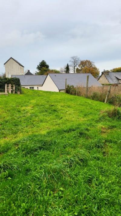 Huge Habitable Property with Lots of Potential