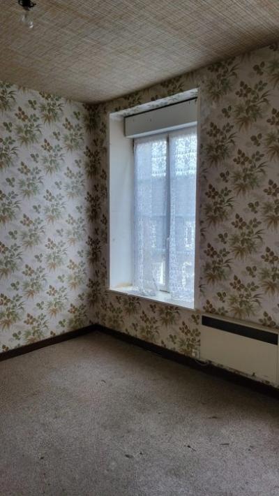 Huge Habitable Property with Lots of Potential