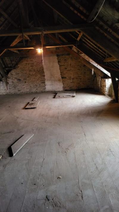 Huge Habitable Property with Lots of Potential