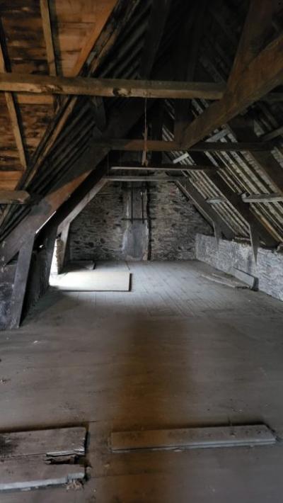 Huge Habitable Property with Lots of Potential