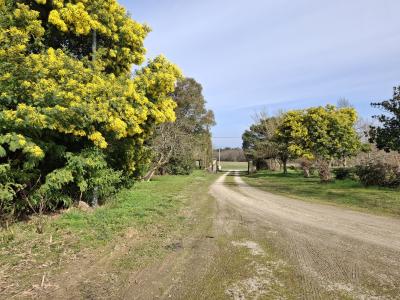 Detached Country House With Open Views