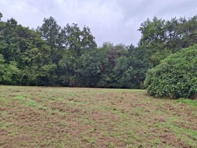 Habitable Detached Property in the Countryside