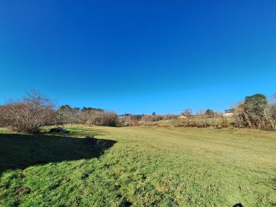 Detached Country House with Bundles of Character
