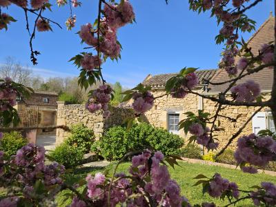 Magnificent Detached Country House with Outbuildings